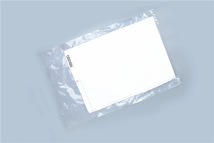 Sac Cleansteam
